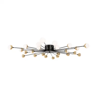 Потолочныйсветильник FR5242CL-24B