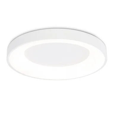 Накладной светильник Ambrella Light FZ1401