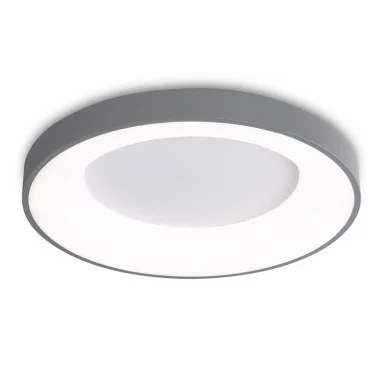 Накладной светильник Ambrella Light FZ1402