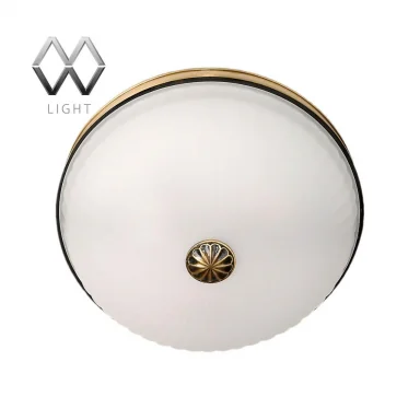 Накладной светильник MW-Light 295013402