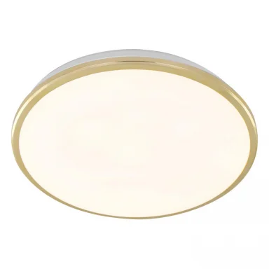 Накладной уличный светильник Citilux CL702302W