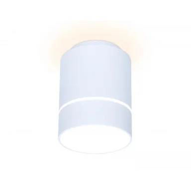 Накладной светильник Ambrella Light TN256