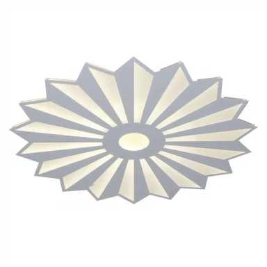 Потолочный светодиодный светильник Kink Light Алтея 05813-15,01