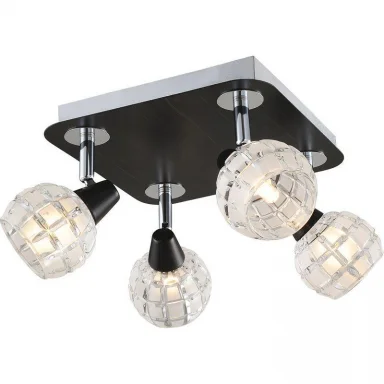 Спот Lussole Silandro LSL-8601-04