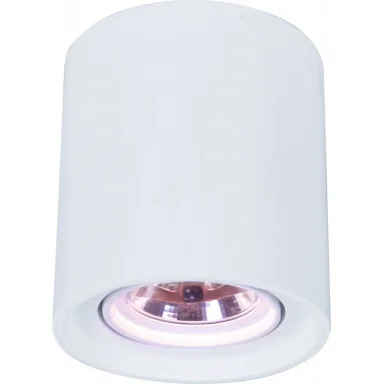 Накладной светильник ARTE Lamp A9262PL-1WH