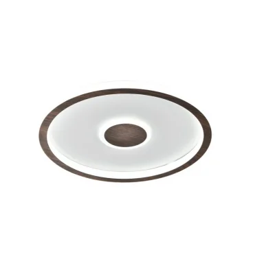 Накладной светильник Freya FR5421CL-L80BR