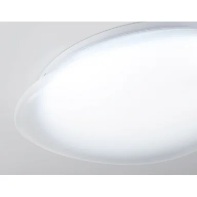 Накладной светильник Ambrella Light FZ1601
