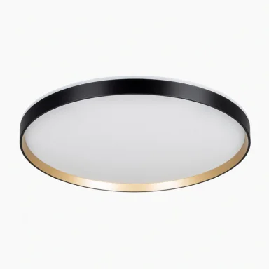 Накладной светильник Citilux CL750501R