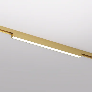 Светильник на шине Denkirs DK5751-SB