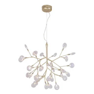 EVITA SP36 GOLD/TRANSPARENT