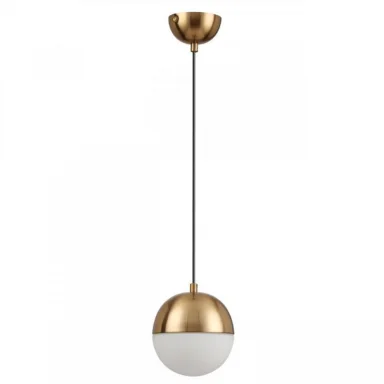 Подвесной светильник Odeon Light 4960/1
