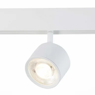 Светильник на шине ST-Luce ST353.546.06