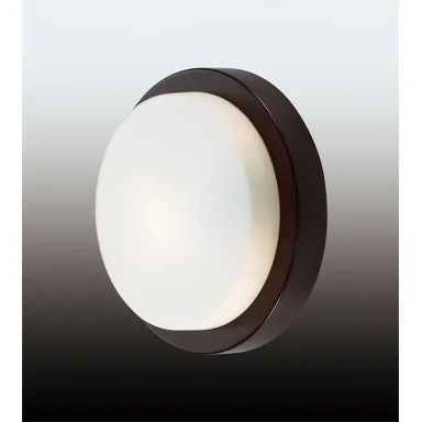 Потолочный светильник Odeon Light Holger 2744/1C