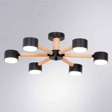 Потолочная люстра Arte Lamp TENDA A1624PL-6BK
