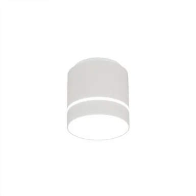 Накладной светильник Citilux CL745020N