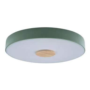 Детский светильник LOFT IT 10003/24 Green