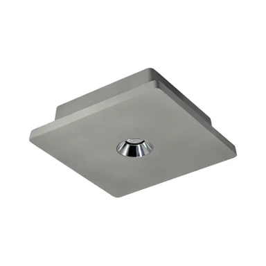 Потолочный светодиодный светильник Loft IT Architect OL1072-GH/1