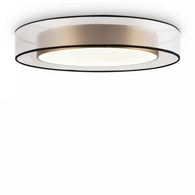 Потолочный светильник FR6005CL-L48G