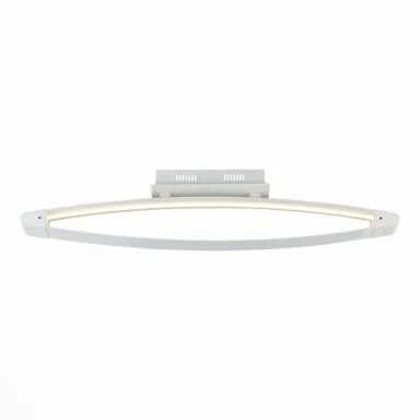 Накладной светильник ST-Luce SL920.102.01