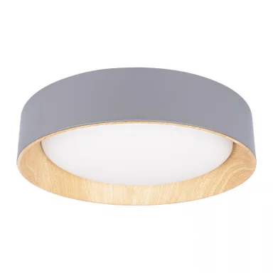 Накладной светильник LOFT IT 10202 Grey