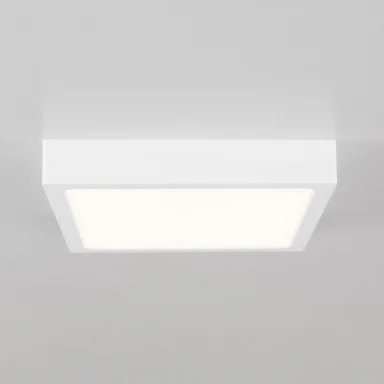 Накладной светильник Citilux CL55K22N