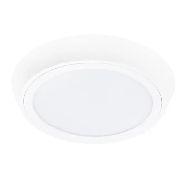Влагозащищенный светильник Lightstar 216904