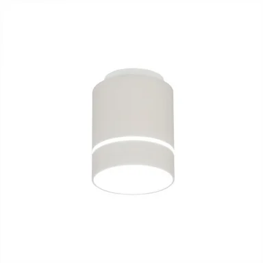 Накладной светильник Citilux CL745010N