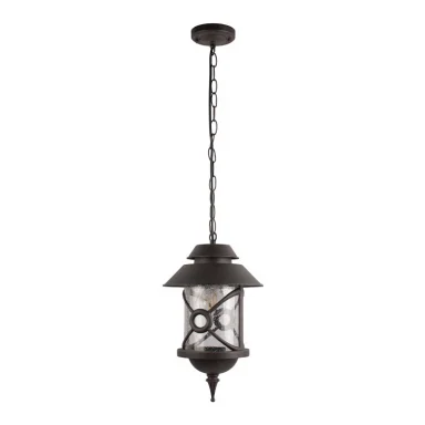 Подвесной уличный светильник LOFT IT 100021P