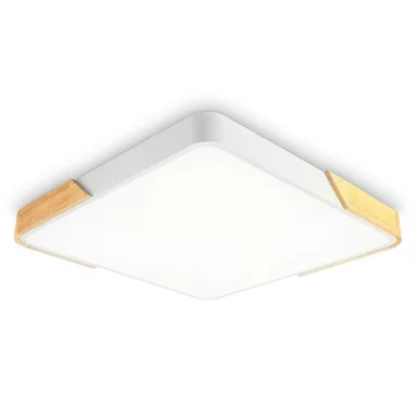 Накладной светильник Ambrella Light FZ1313