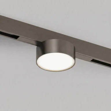 Светильник на шине Denkirs DK4761-DN