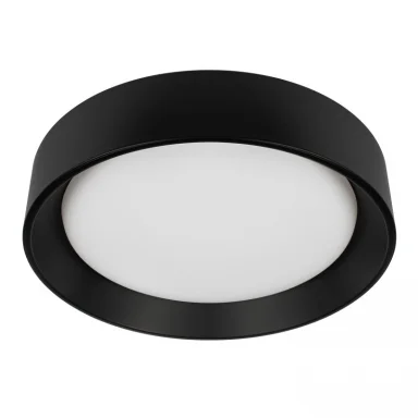 Накладной светильник LOFT IT 10202 BB