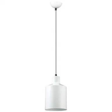 Подвесной светильник Lumion Rigby 3694/1