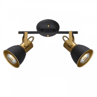 Спот ARTE Lamp A1677PL-2GO