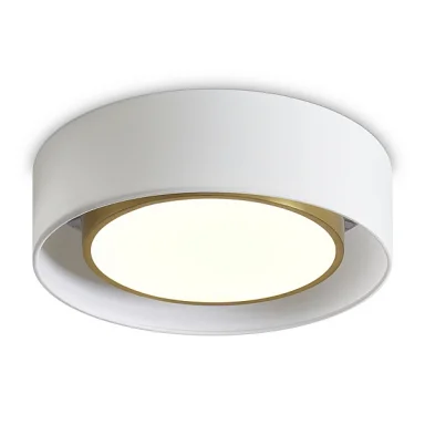 Потолочный светильник FR6170CL-L52BS