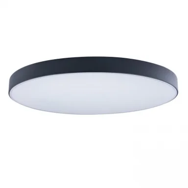 Накладной светильник LOFT IT 10002/48 Black