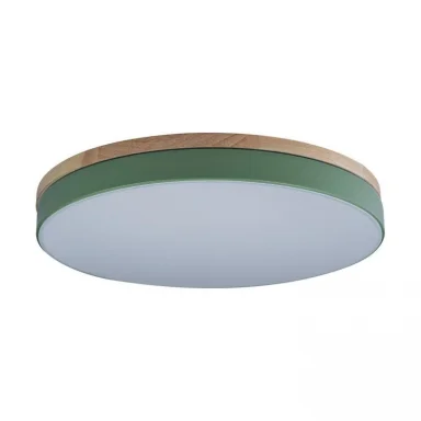 Детский светильник LOFT IT 10001/36 Green
