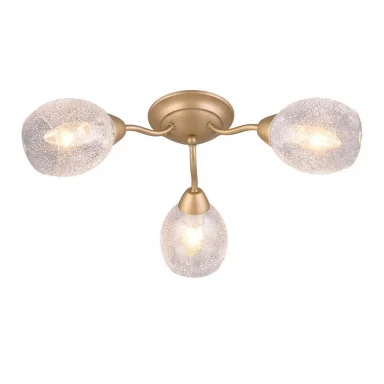 Потолочная люстра Omnilux Miglionico OML-55507-03