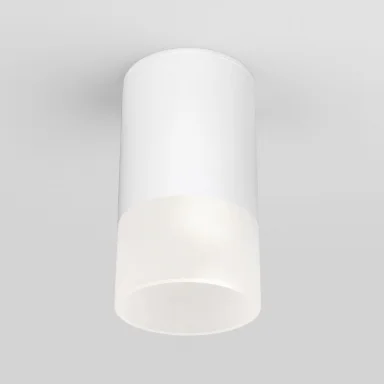 Накладной уличный светильник Elektrostandard Light LED 2106 (35139/H) белый