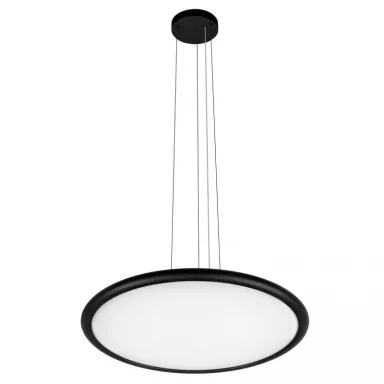 Подвесной светильник LOFT IT 10454/500P Black