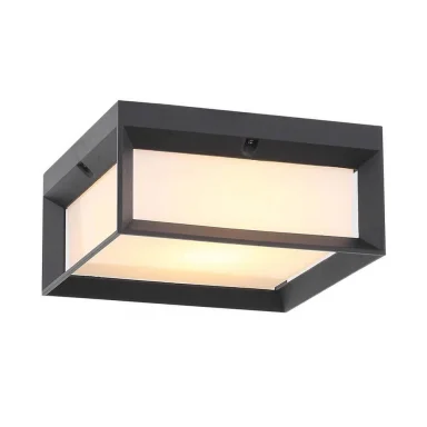 Уличный светильник ST-Luce SL077.402.01