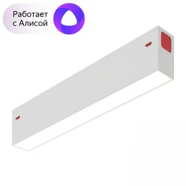 Светильник на шине Denkirs DK8003-WH