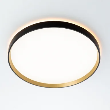 Накладной светильник Citilux CL750401R