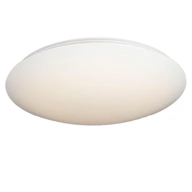 Потолочный светодиодный светильник Omnilux OML-43007-50