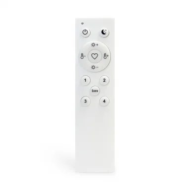 ST015.500.98 Пульт управления для SKYLINE 220/ SKYLINE 48 Белый