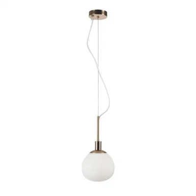 MOD221-PL-01-G