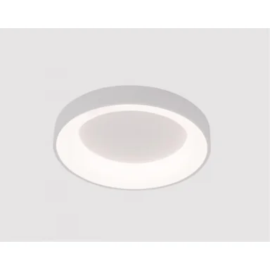 Накладной светильник ARTE Lamp A2695PL-50WH