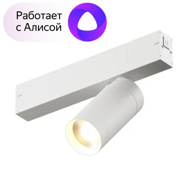Светильник на шине Denkirs DK8010-WH