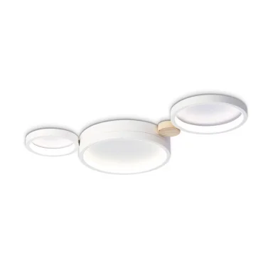 Накладной светильник Ambrella Light FL4812