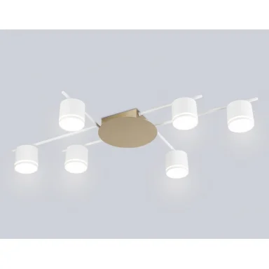 Накладной светильник Ambrella Light FL51755
