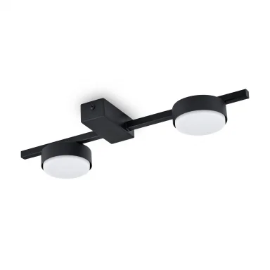 Потолочныйсветильник FR5363CL-02B